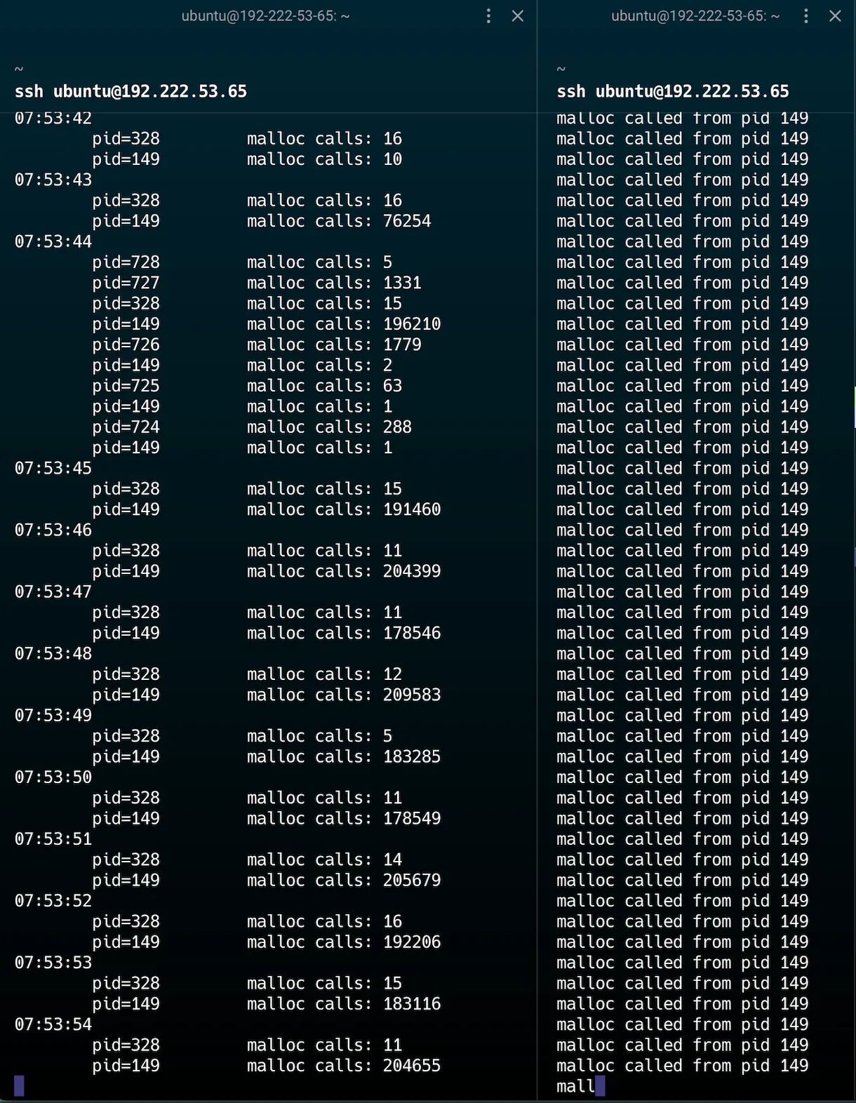 First inference with cold CUDA graph cache showing massive memory allocation burst
